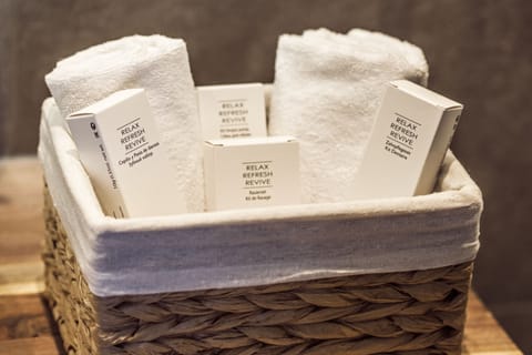 Executive Suite | Bathroom | Shower, free toiletries, hair dryer, slippers