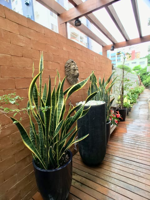 Garden view