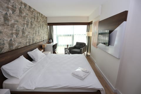 Deluxe Double Room, 1 Queen Bed | Premium bedding, minibar, desk, laptop workspace