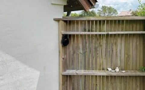 House | Property grounds