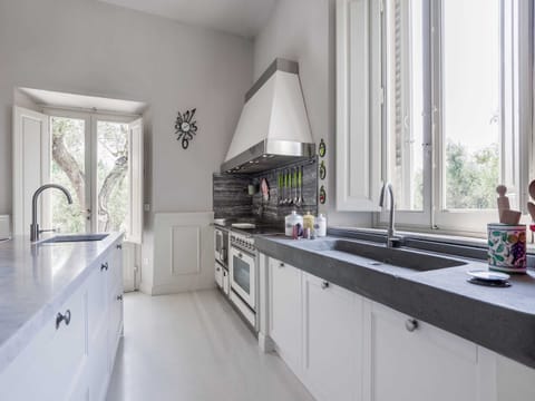 House | Private kitchen | Highchair