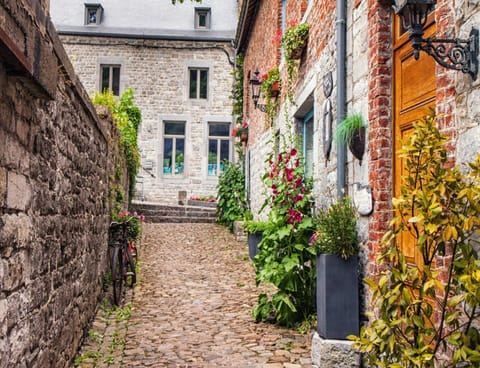 House | View from property