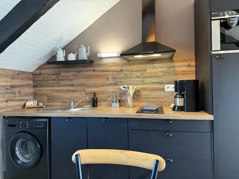 Apartment, 1 Bedroom, Terrace | Private kitchen | Fridge, microwave, stovetop, dishwasher