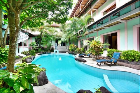 Outdoor pool, sun loungers