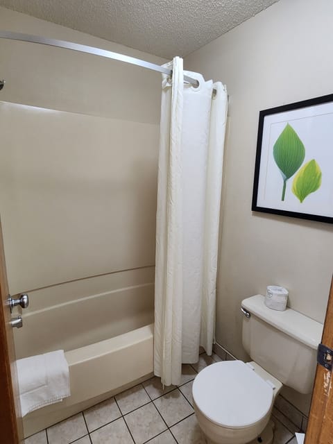 Combined shower/tub, free toiletries, hair dryer, towels