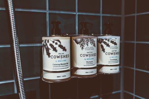 Double Room | Bathroom | Shower, rainfall showerhead, hair dryer, towels