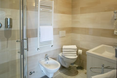 Shower, hair dryer, bidet, towels