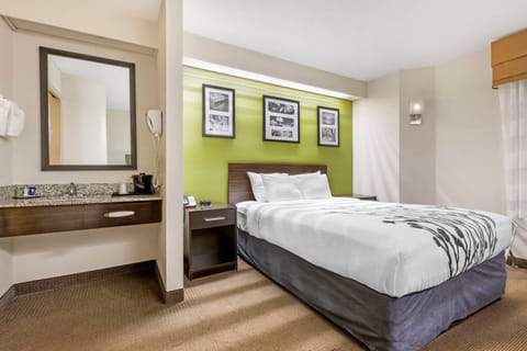 Room, 1 Queen Bed, Accessible, Non Smoking (Mobility, Roll-In Shower) | Desk, laptop workspace, blackout drapes, iron/ironing board