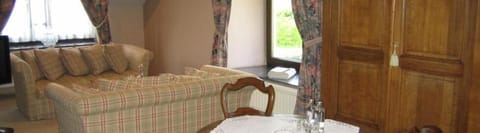 Standard Double Room, Annex Building | Living area | Flat-screen TV, table tennis