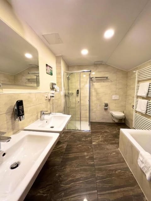 Deluxe Double Room | Bathroom | Shower, free toiletries, hair dryer, towels