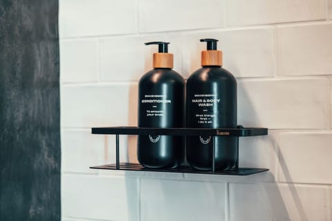 Shower, free toiletries, hair dryer, bidet