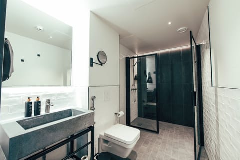 Shower, free toiletries, hair dryer, bidet