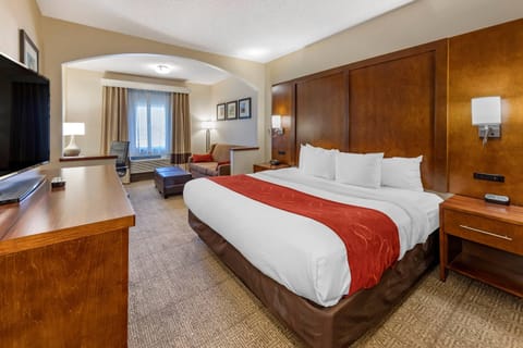 Studio Suite, 1 king bed with sofa bed | Desk, blackout drapes, iron/ironing board, WiFi (free)