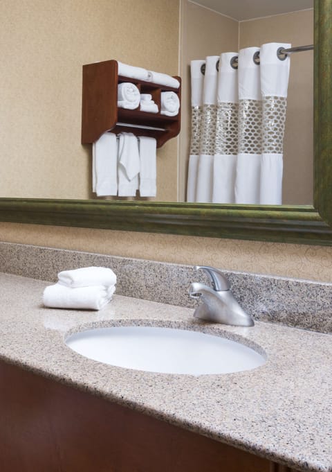 Combined shower/tub, free toiletries, hair dryer, towels