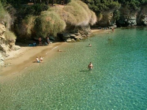 Studio, 1 Bedroom, Balcony, Pool View | Beach