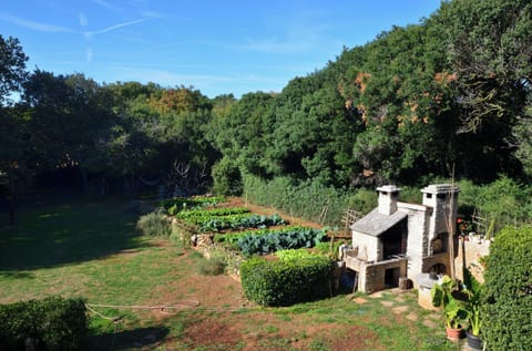 BBQ/picnic area
