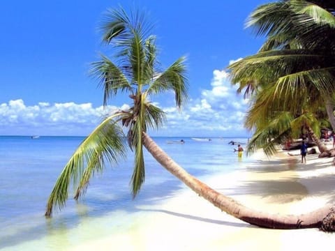 On the beach, beach towels