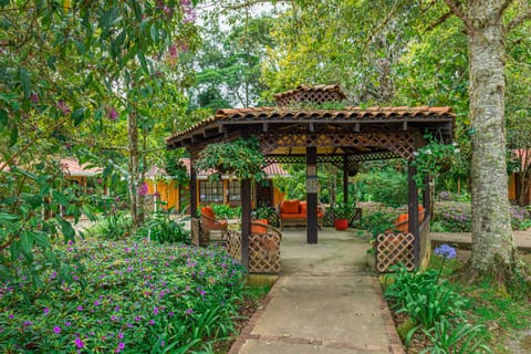 Villa Garden View | Garden view