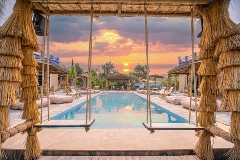 Outdoor pool, sun loungers