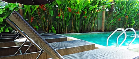 Outdoor pool, open 7:00 AM to 8:00 PM, sun loungers