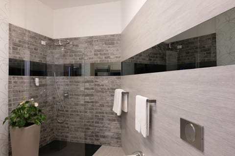 Shower, free toiletries, hair dryer, bidet