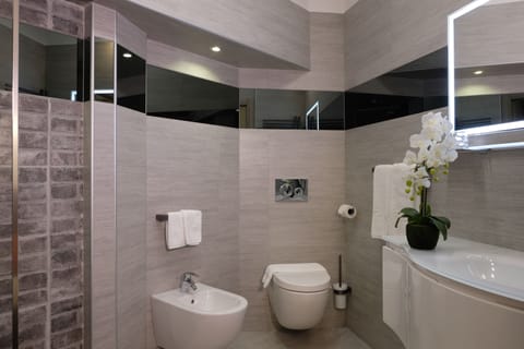 Shower, free toiletries, hair dryer, bidet