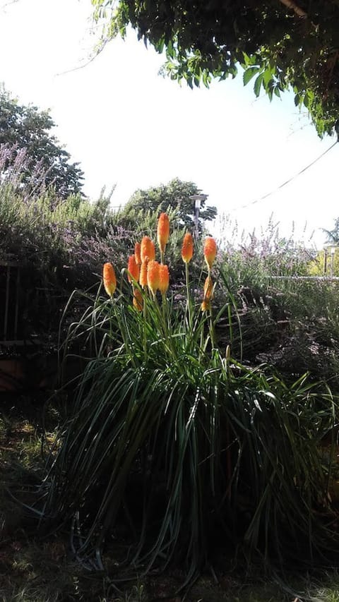 Apartment, 2 Bedrooms, Balcony, City View | Property grounds