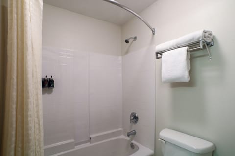 Combined shower/tub, free toiletries, hair dryer, towels