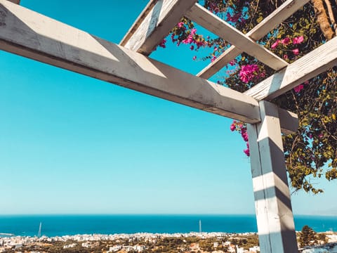 Apartment, 1 Bedroom, Balcony, Garden View | Balcony