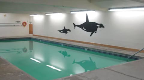 Indoor pool, sun loungers