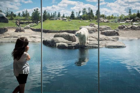 Children's activities