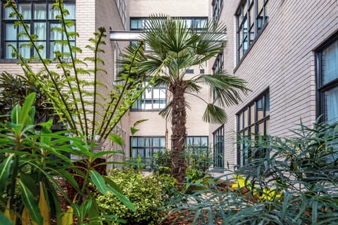 Courtyard