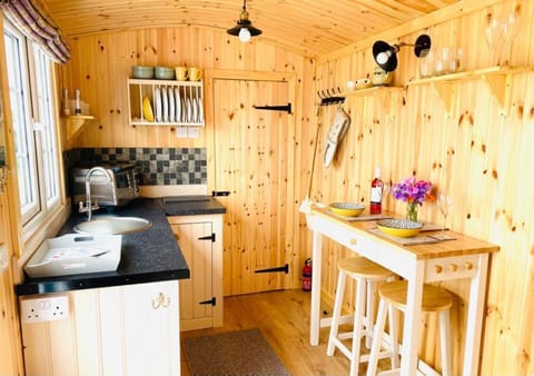 Cabin | Private kitchen | Fridge, oven, stovetop, electric kettle