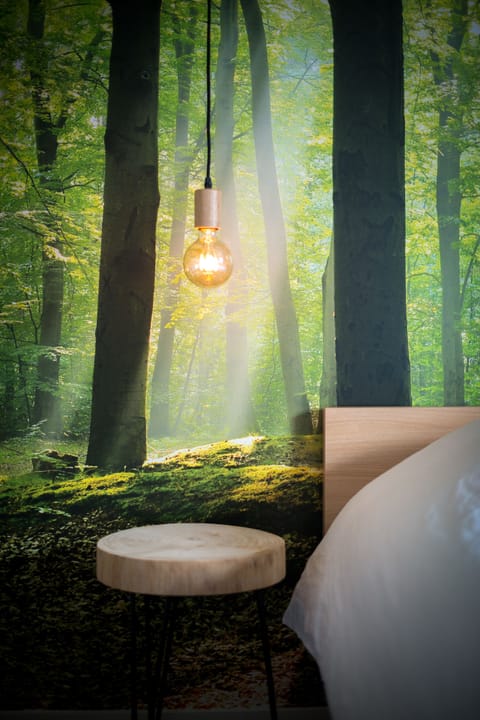 Deluxe Suite | Individually decorated, individually furnished, desk, blackout drapes