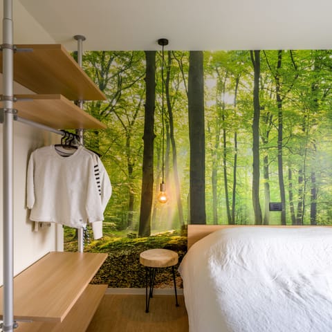 Deluxe Suite | Individually decorated, individually furnished, desk, blackout drapes