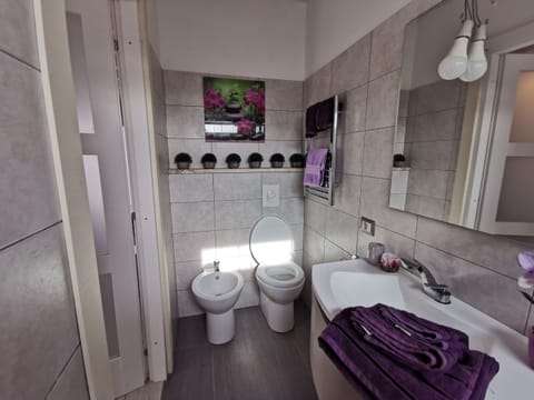 Apartment | Bathroom | Shower, hair dryer, towels