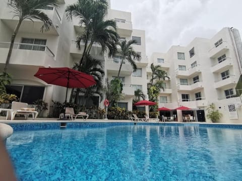 Outdoor pool, sun loungers