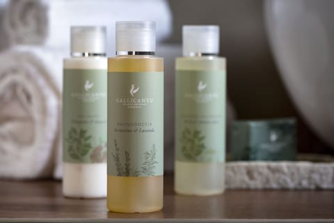 Suite | Bathroom | Shower, rainfall showerhead, free toiletries, hair dryer