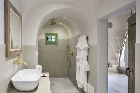 Deluxe Room | Bathroom | Shower, rainfall showerhead, free toiletries, hair dryer