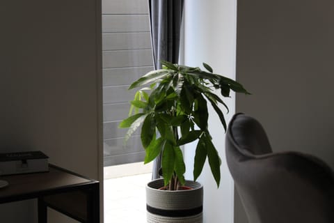 Double Room, Accessible, Ensuite | View from property