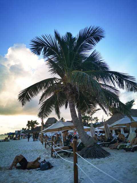 Beach nearby, white sand