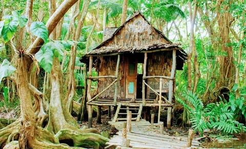 Ecotours