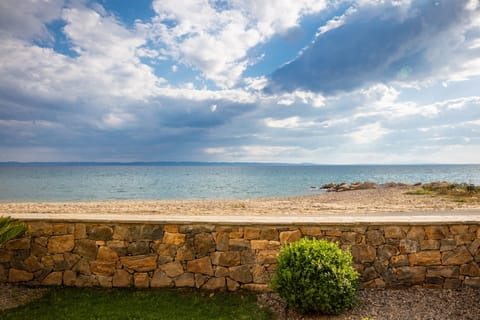 Executive Studio | Beach/ocean view
