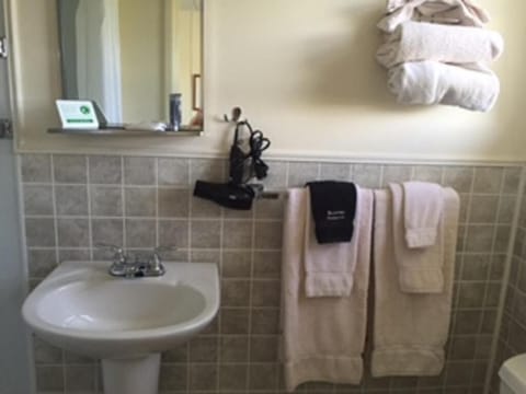 Double Room | Bathroom | Combined shower/tub, free toiletries, hair dryer, towels