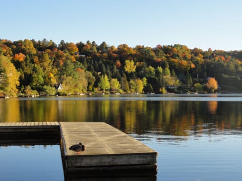 Lake