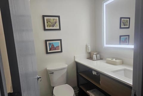 Suite, 1 King Bed, Non Smoking | Bathroom | Combined shower/tub, free toiletries, hair dryer, towels