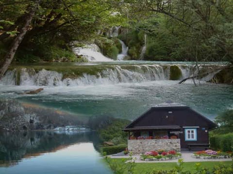 Apartment (Two-Bedroom Apartment) | Aerial view