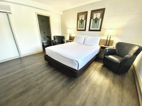 Standard Room, 1 Queen Bed, Accessible, Refrigerator & Microwave | Desk, blackout drapes, soundproofing, iron/ironing board