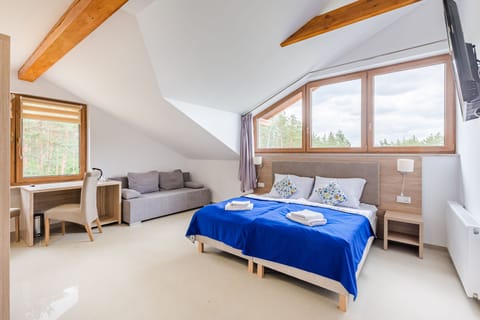 Comfort Double or Twin Room | Living area | Toys