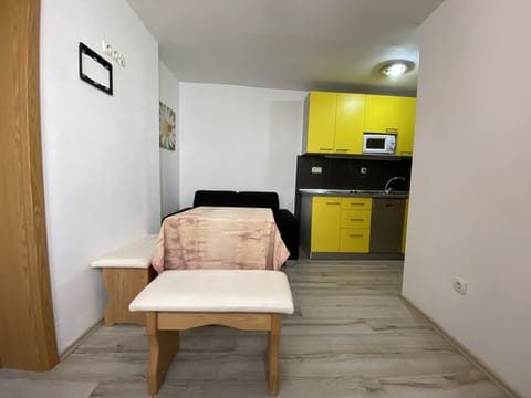 Luxury Apartment | Private kitchen | Cleaning supplies